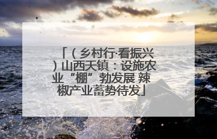 （乡村行·看振兴）山西天镇：设施农业“棚”勃发展 辣椒产业蓄势待发