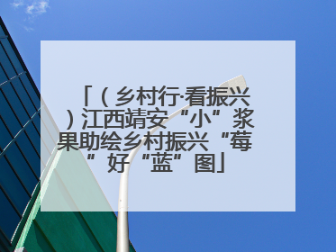 （乡村行·看振兴）江西靖安“小”浆果助绘乡村振兴“莓”好“蓝”图