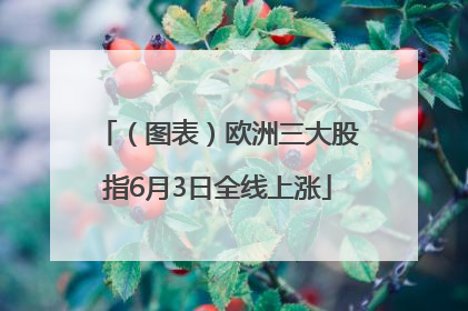 （图表）欧洲三大股指6月3日全线上涨