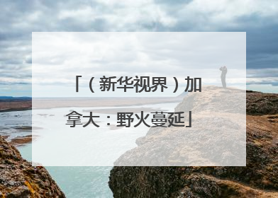 （新华视界）加拿大：野火蔓延