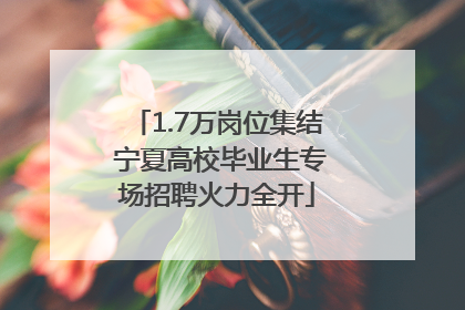 1.7万岗位集结 宁夏高校毕业生专场招聘火力全开