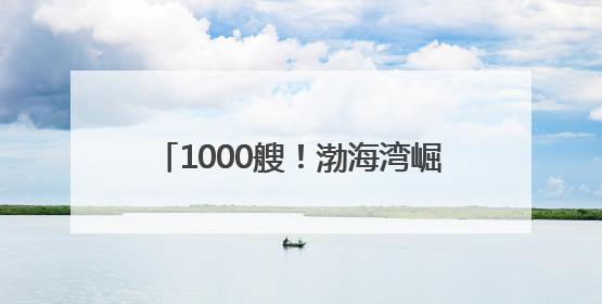 1000艘！渤海湾崛起世界级船舶租赁中心 促进全球贸易流动