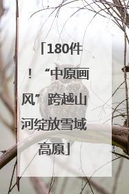 180件！“中原画风”跨越山河绽放雪域高原