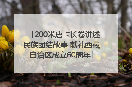 200米唐卡长卷讲述民族团结故事 献礼西藏自治区成立60周年