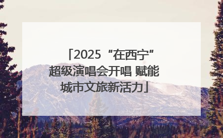 2025“在西宁”超级演唱会开唱 赋能城市文旅新活力