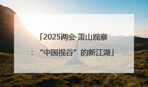 2025两会·萧山观察：“中国视谷”的新江湖