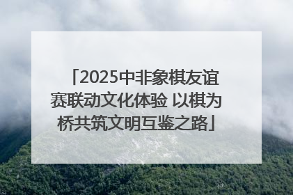 2025中非象棋友谊赛联动文化体验 以棋为桥共筑文明互鉴之路