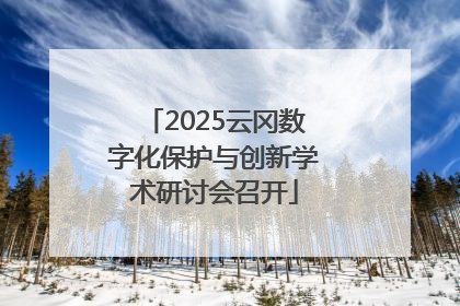 2025云冈数字化保护与创新学术研讨会召开