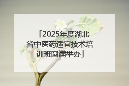 2025年度湖北省中医药适宜技术培训班圆满举办