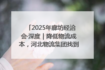 2025年廊坊经洽会·深度｜降低物流成本，河北物流集团找到一把“金钥匙”