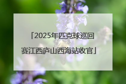 2025年匹克球巡回赛江西庐山西海站收官