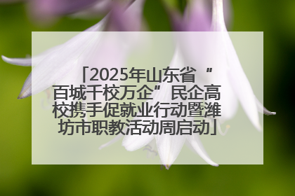 2025年山东省“百城千校万企”民企高校携手促就业行动暨潍坊市职教活动周启动