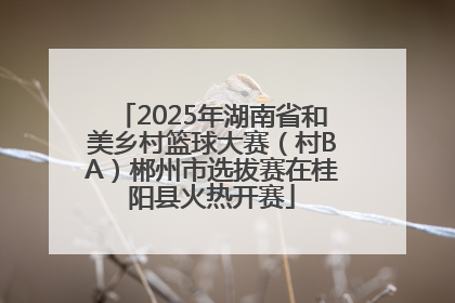 2025年湖南省和美乡村篮球大赛（村BA）郴州市选拔赛在桂阳县火热开赛