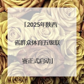 2025年陕西省群众体育五级联赛正式启动