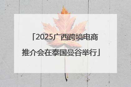 2025广西跨境电商推介会在泰国曼谷举行