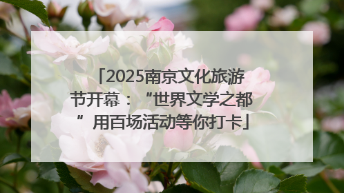2025南京文化旅游节开幕：“世界文学之都”用百场活动等你打卡