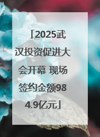 2025武汉投资促进大会开幕 现场签约金额984.9亿元