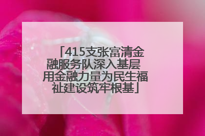 415支张富清金融服务队深入基层 用金融力量为民生福祉建设筑牢根基