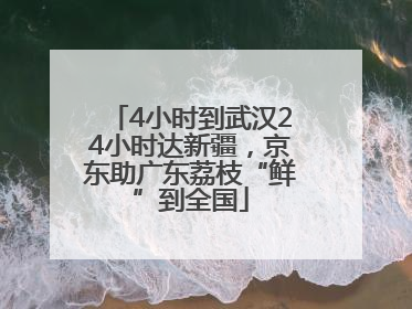 4小时到武汉24小时达新疆，京东助广东荔枝“鲜”到全国