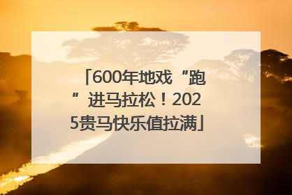 600年地戏“跑”进马拉松！2025贵马快乐值拉满