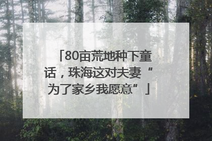 80亩荒地种下童话，珠海这对夫妻“为了家乡我愿意”