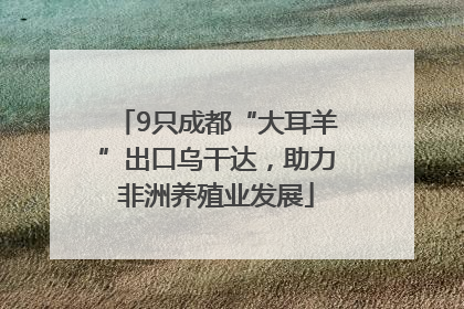 9只成都“大耳羊”出口乌干达，助力非洲养殖业发展