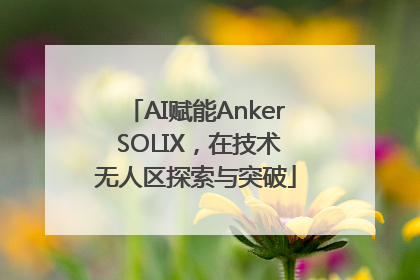 AI赋能Anker SOLIX，在技术无人区探索与突破