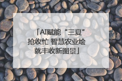 AI赋能“三夏”抢收忙 智慧农业绘就丰收新图景