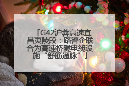 G42沪蓉高速宜昌夷陵段：路警企联合为高速桥隧电缆设施“舒筋通脉”
