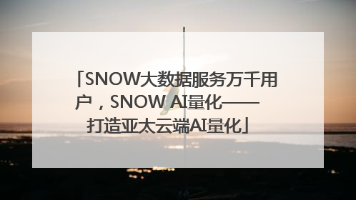 SNOW大数据服务万千用户，SNOW AI量化——打造亚太云端AI量化